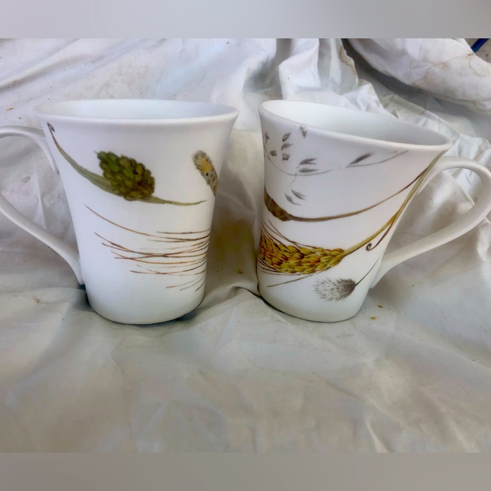 Pier 1 Porcelain Savannah Wheat Mugs